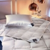 Одеяло Brinkhaus ARCTIC 100% пух 1080 г 200x220 см