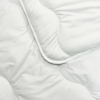 Одеяло Вилюта Relax зимнее 170х210 см