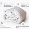 Пуховое кассетное одеяло Mirson Raffaello белый пух 200x220 см, №062 (Зимнее)