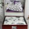 Romeo Home фланель евро модель 11
