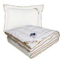 Детский комплект (одеяло+подушка) Руно GOLDEN SWAN 140х105 см