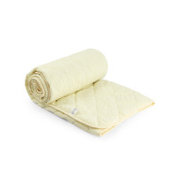 Одеяло силиконовое Руно "Легкость" молочное 200х220 см