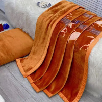Плед велюровый двуслойный Home Textile 963933 200x230 см